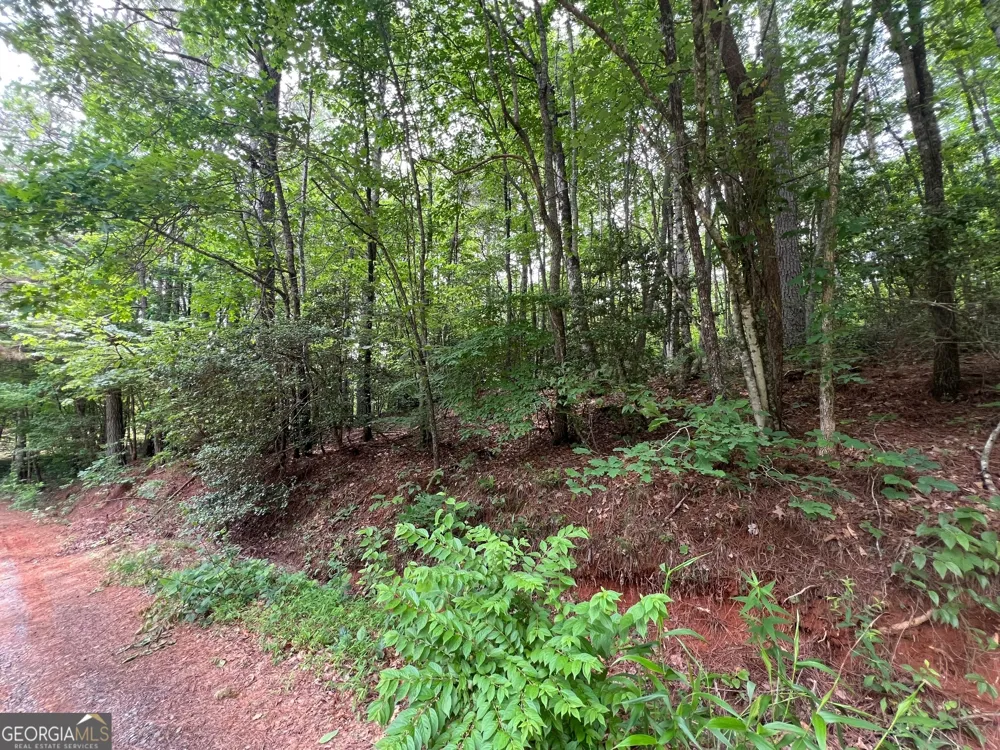 0 Mr Bert RD Hiawassee, GA 30546