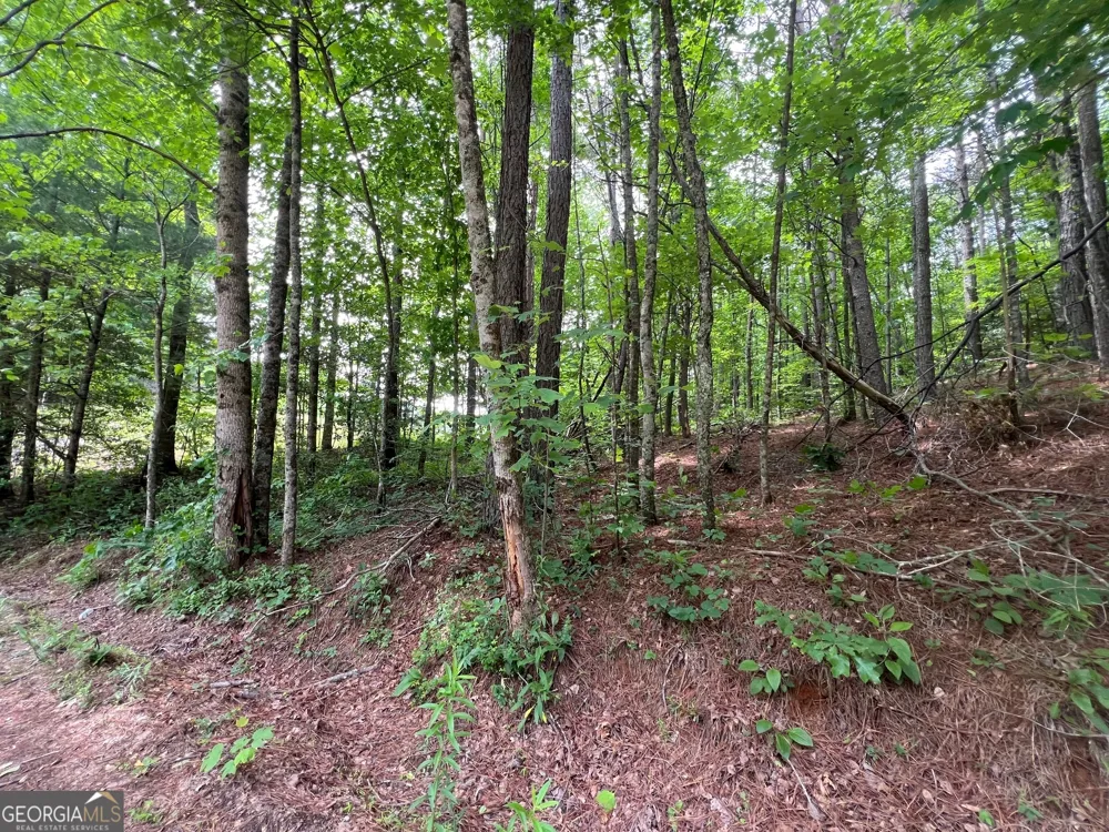 0 Mr Bert RD Hiawassee, GA 30546