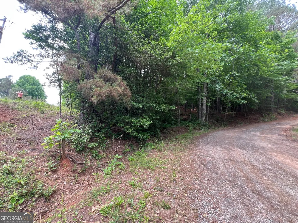 0 Mr Bert RD Hiawassee, GA 30546