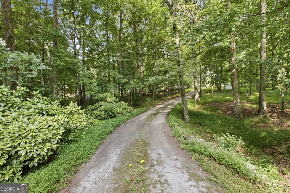 2336 Fred Pitts RD Clarkesville, GA 30523