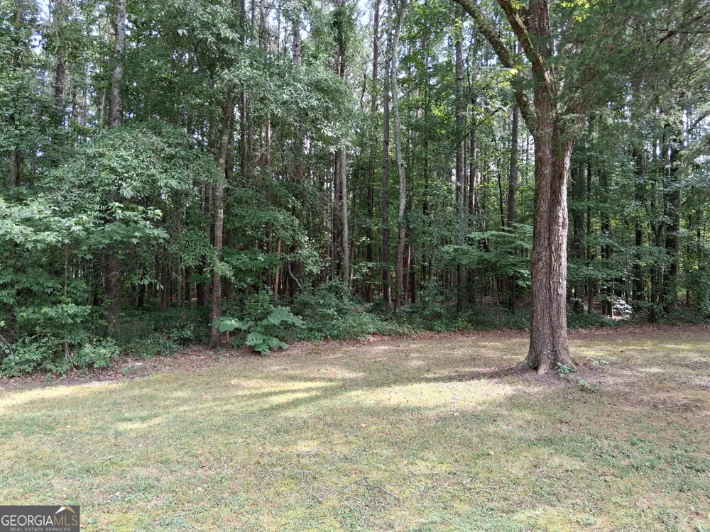 6599 Ga Highway 42 N Forsyth, GA 31029