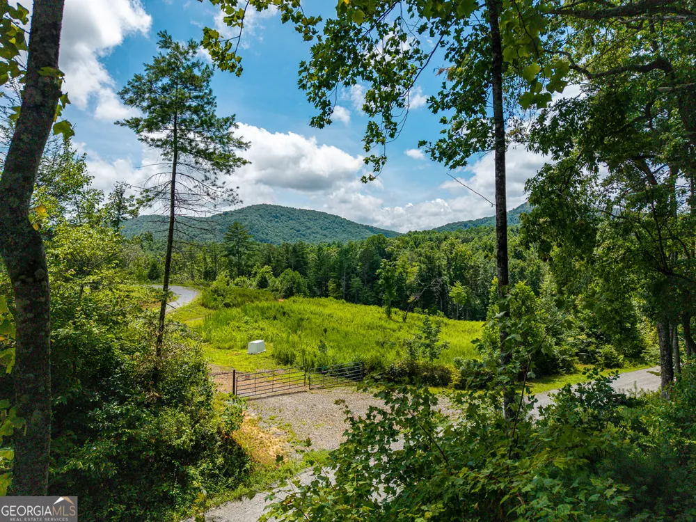 0 Higdon Creek RD Blue Ridge, GA 30513