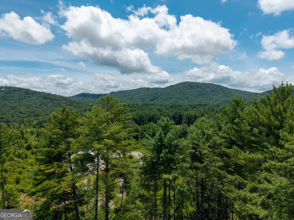 0 Higdon Creek RD Blue Ridge, GA 30513