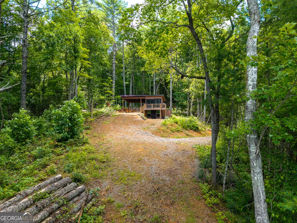0 Higdon Creek RD Blue Ridge, GA 30513