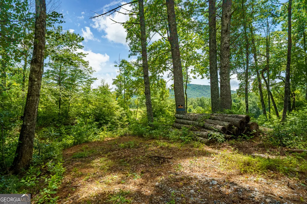 0 Higdon Creek RD Blue Ridge, GA 30513
