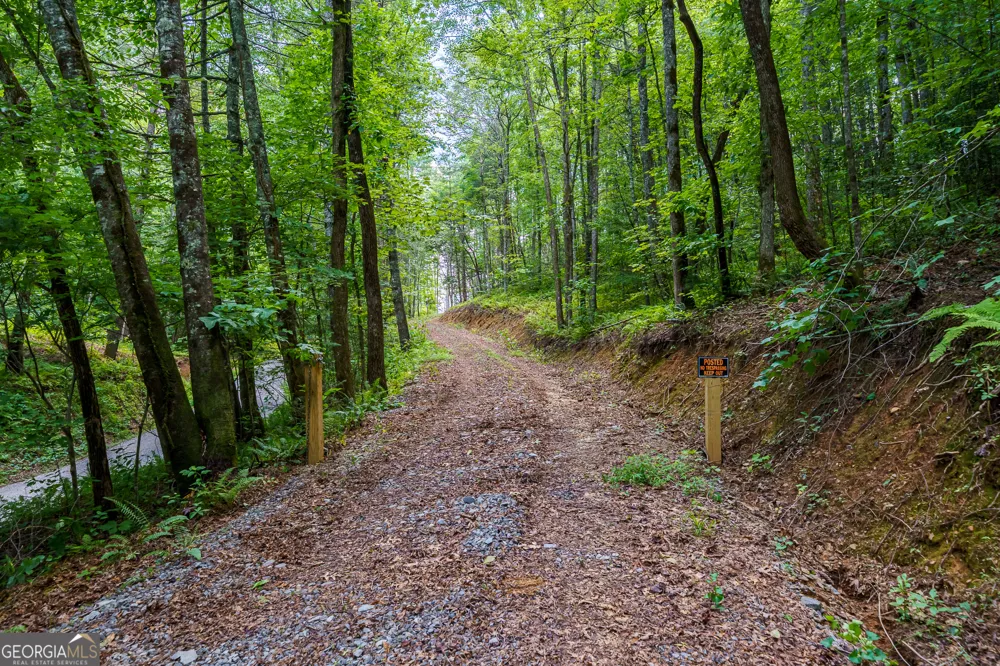 0 Higdon Creek RD Blue Ridge, GA 30513