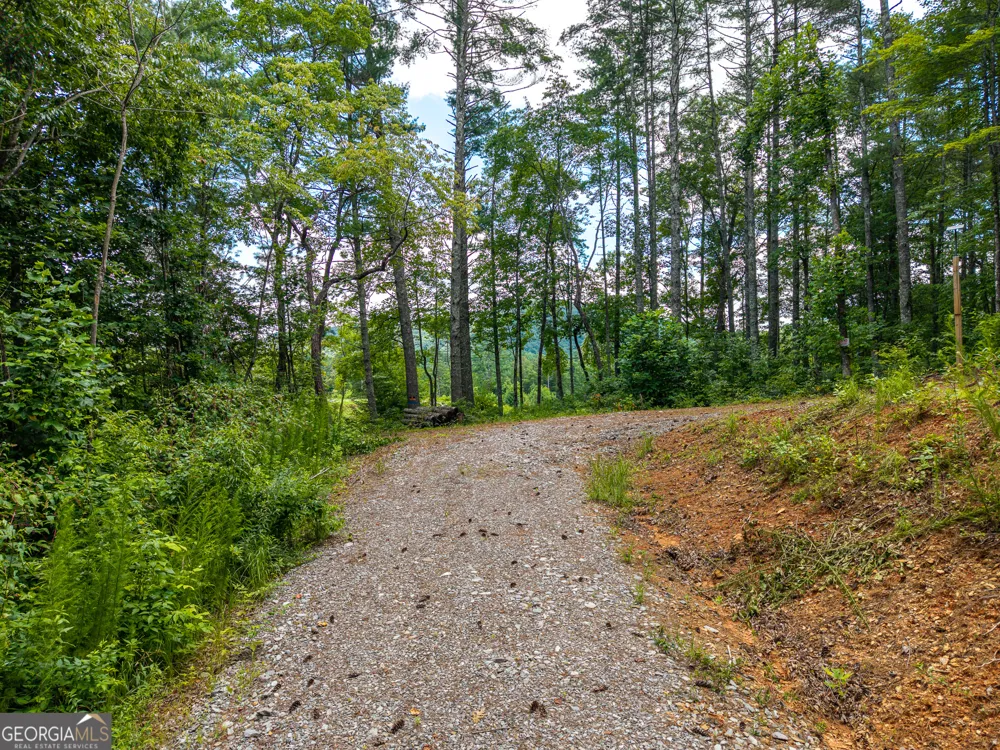 0 Higdon Creek RD Blue Ridge, GA 30513