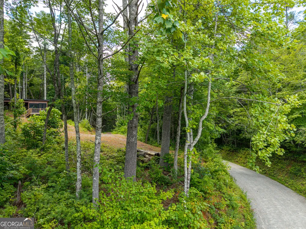 0 Higdon Creek RD Blue Ridge, GA 30513