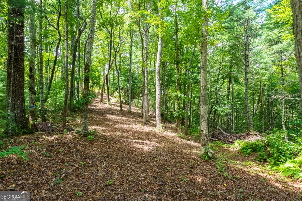 0 Higdon Creek RD Blue Ridge, GA 30513