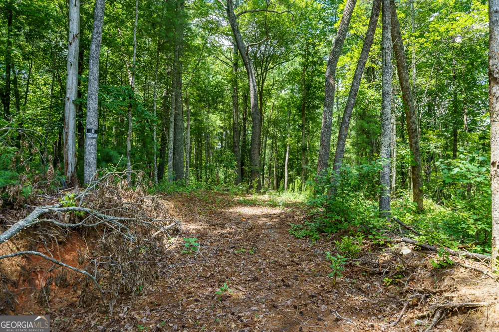 0 Higdon Creek RD Blue Ridge, GA 30513