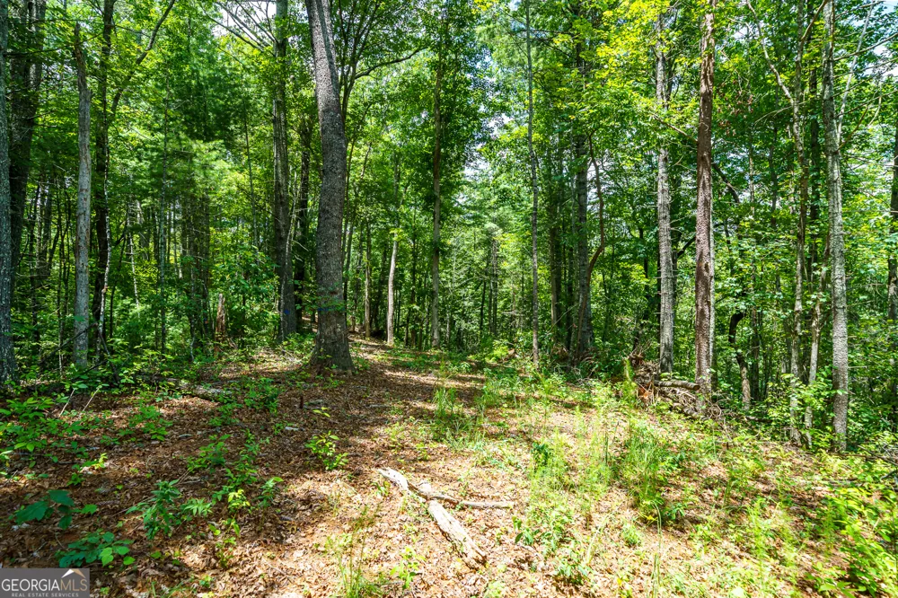 0 Higdon Creek RD Blue Ridge, GA 30513