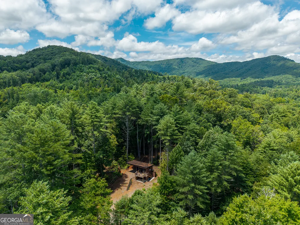 0 Higdon Creek RD Blue Ridge, GA 30513