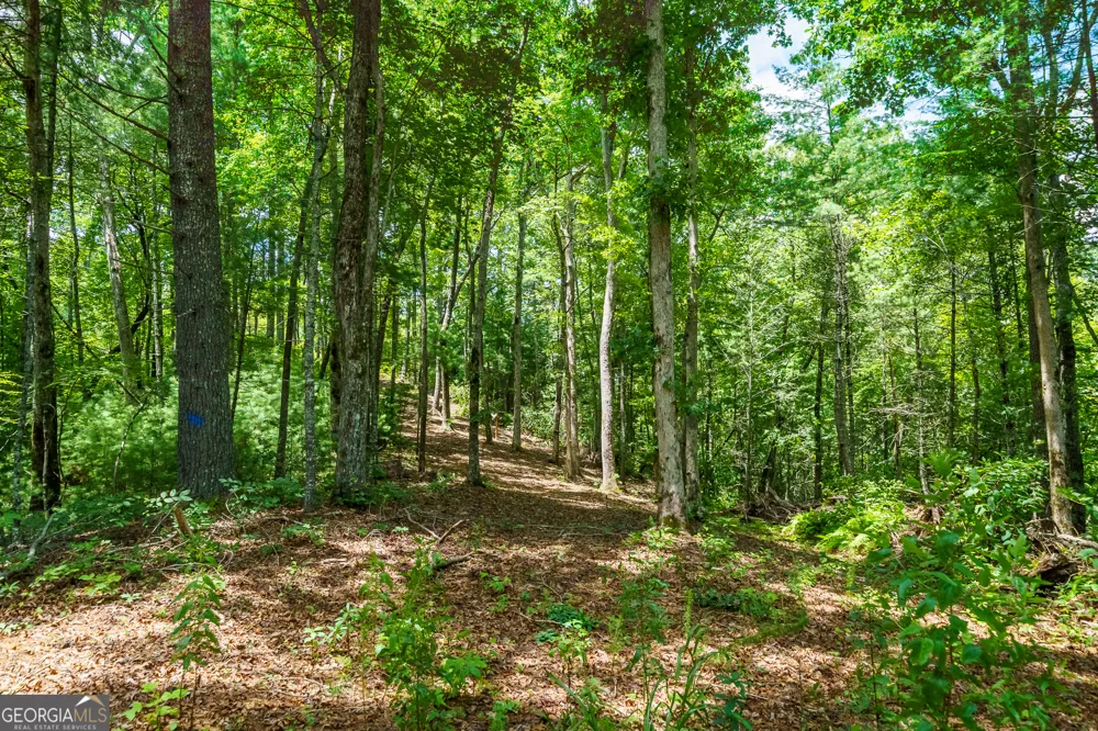 0 Higdon Creek RD Blue Ridge, GA 30513