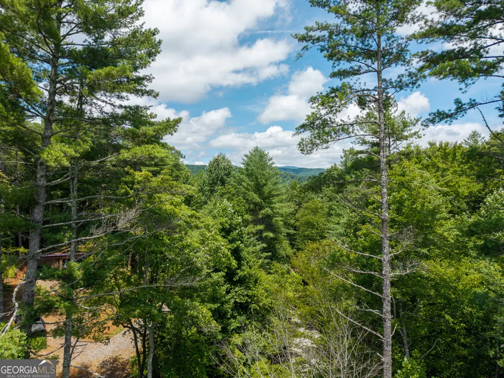 0 Higdon Creek RD Blue Ridge, GA 30513