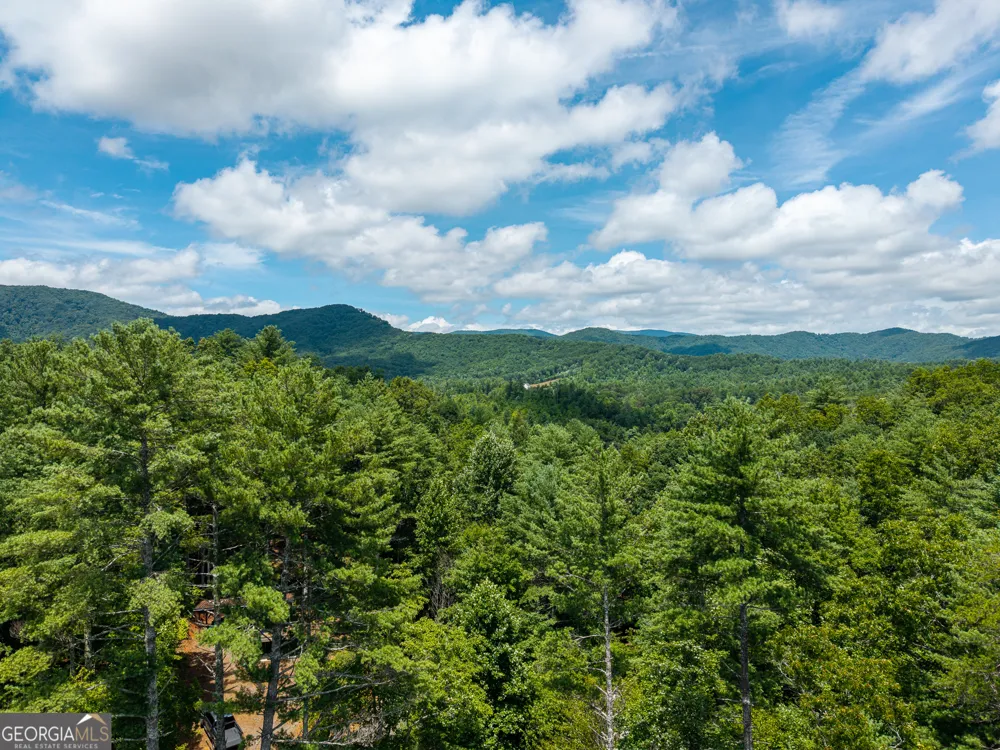 0 Higdon Creek RD Blue Ridge, GA 30513