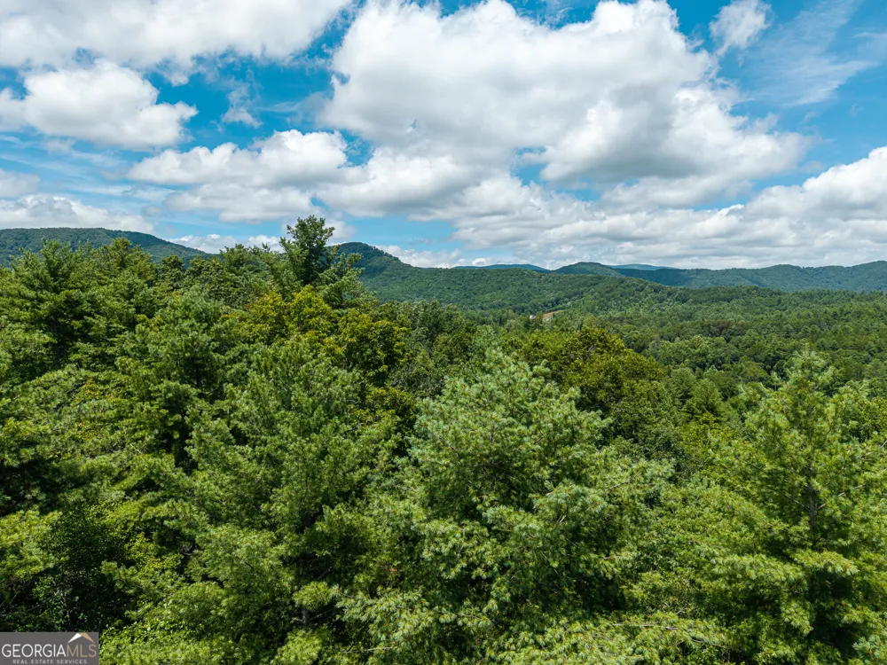 0 Higdon Creek RD Blue Ridge, GA 30513