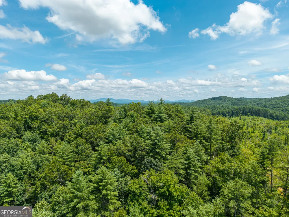 0 Higdon Creek RD Blue Ridge, GA 30513