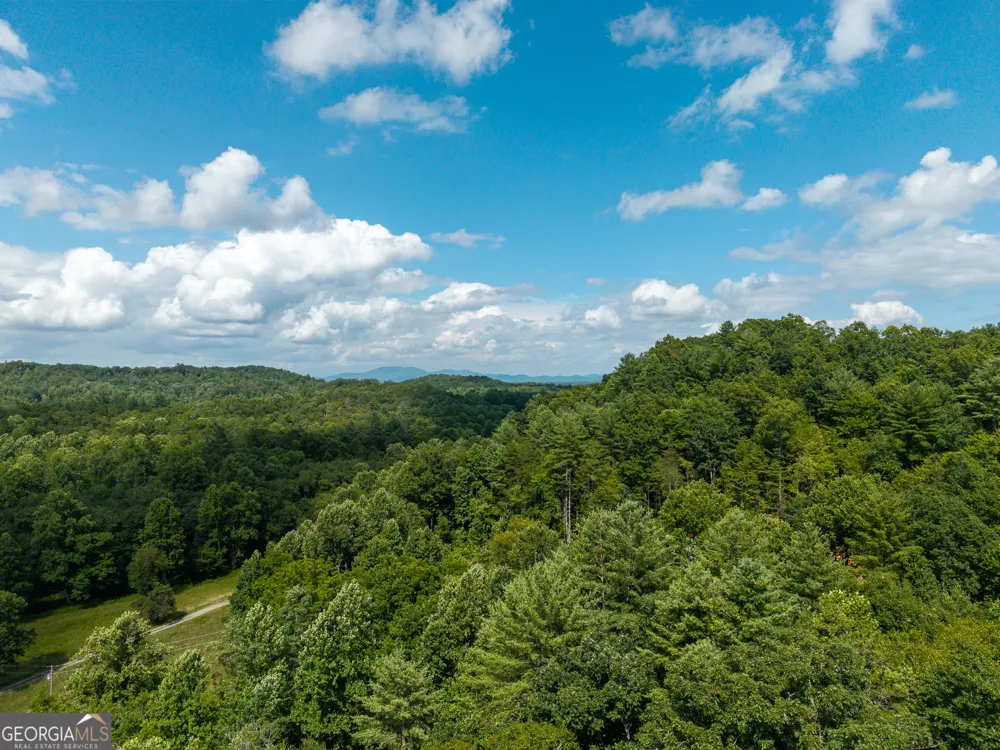 0 Higdon Creek RD Blue Ridge, GA 30513