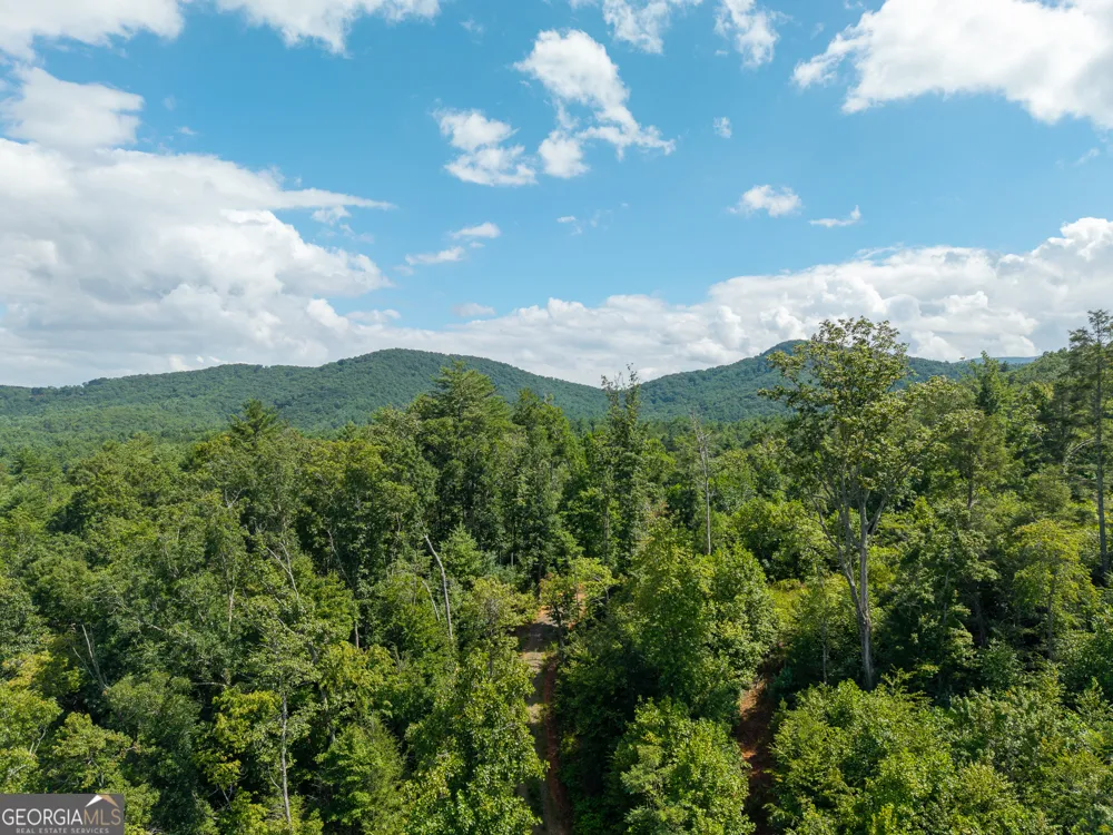 0 Higdon Creek RD Blue Ridge, GA 30513