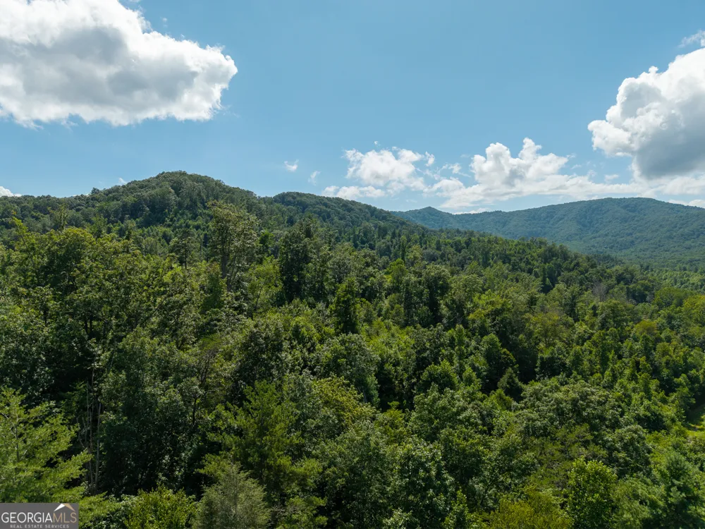 0 Higdon Creek RD Blue Ridge, GA 30513