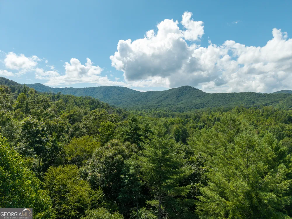 0 Higdon Creek RD Blue Ridge, GA 30513