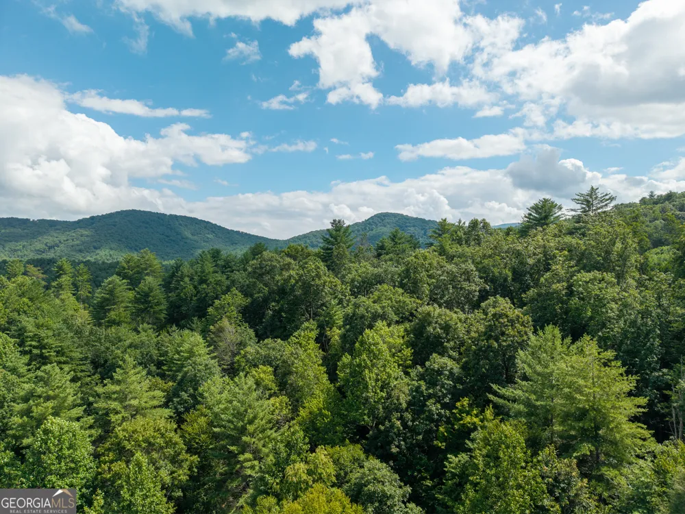 0 Higdon Creek RD Blue Ridge, GA 30513