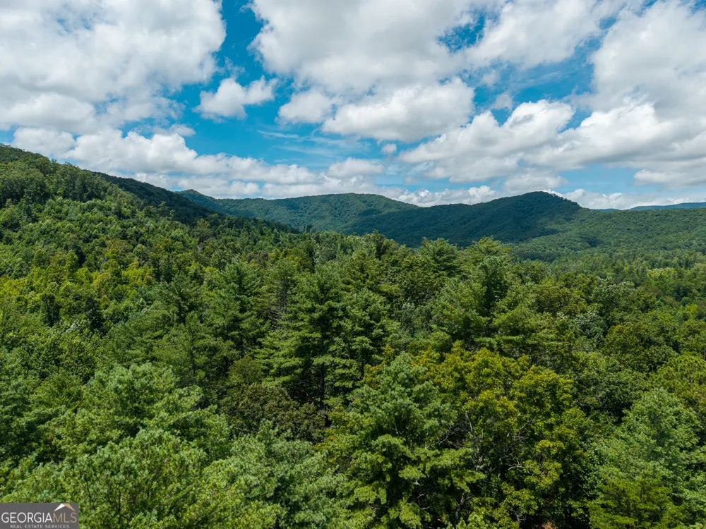 0 Higdon Creek RD Blue Ridge, GA 30513