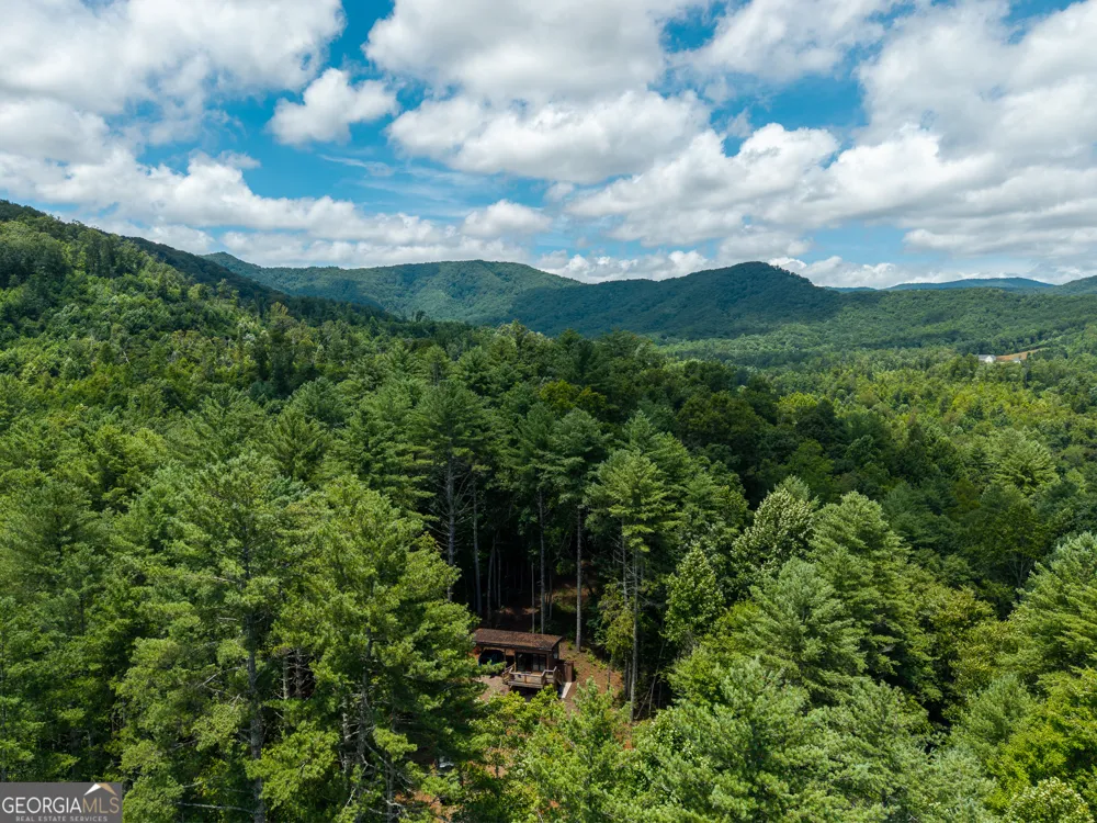 0 Higdon Creek RD Blue Ridge, GA 30513