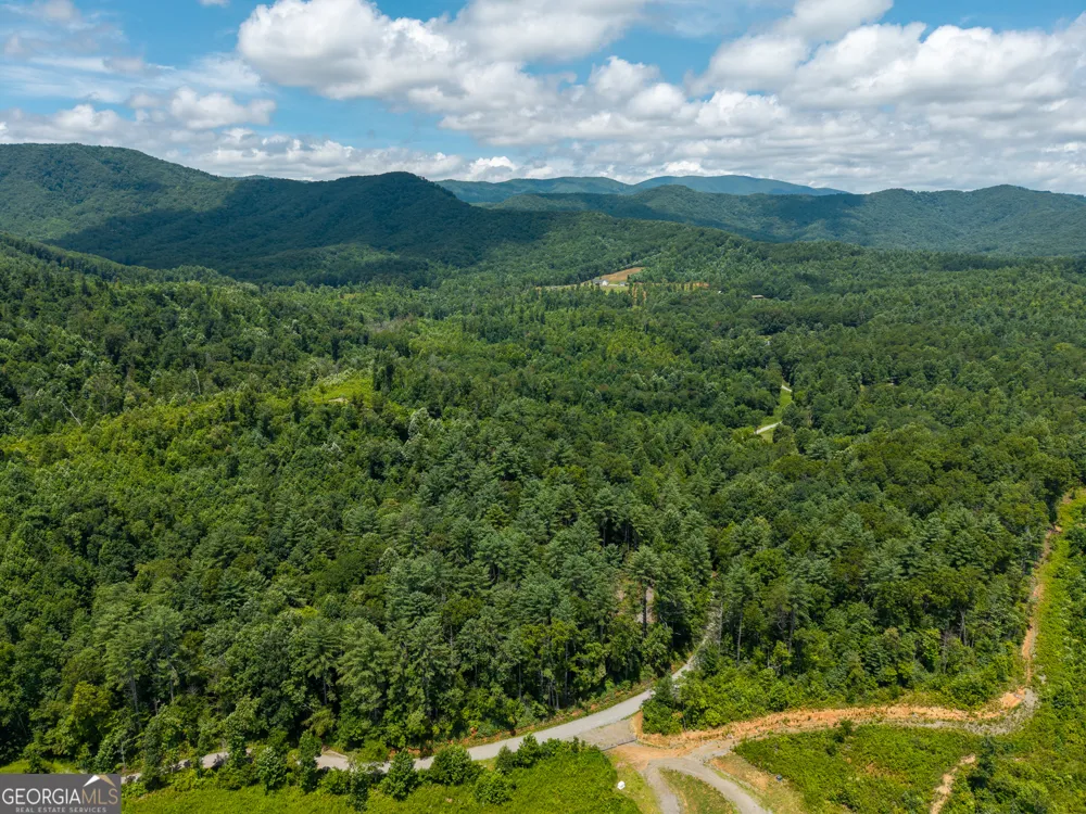 0 Higdon Creek RD Blue Ridge, GA 30513