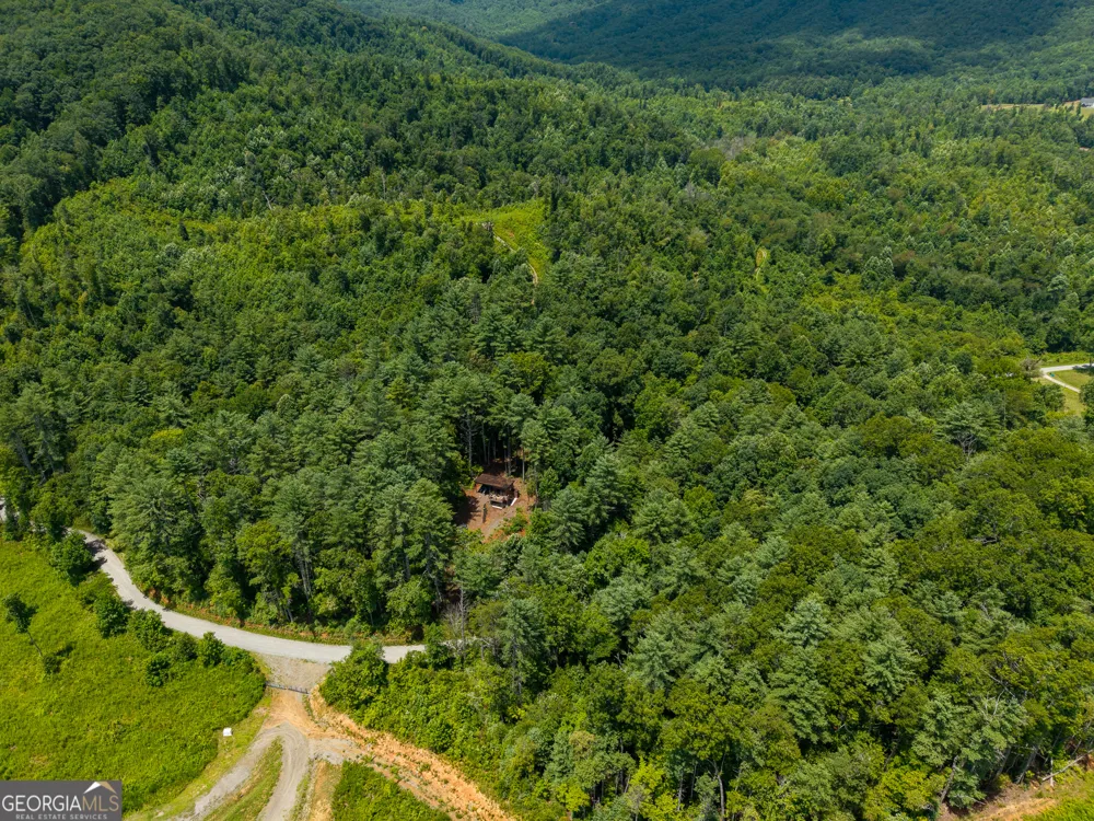 0 Higdon Creek RD Blue Ridge, GA 30513
