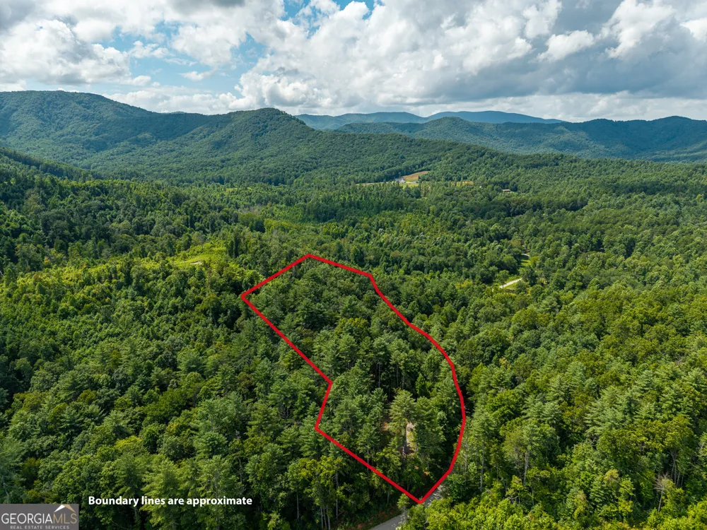 0 Higdon Creek RD Blue Ridge, GA 30513