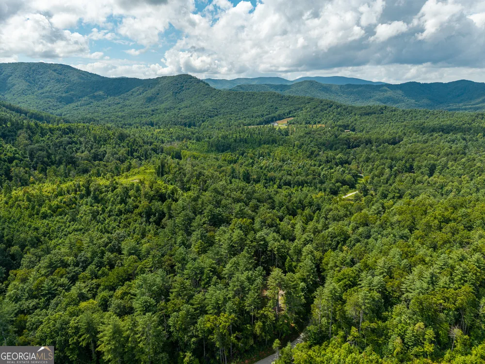 0 Higdon Creek RD Blue Ridge, GA 30513