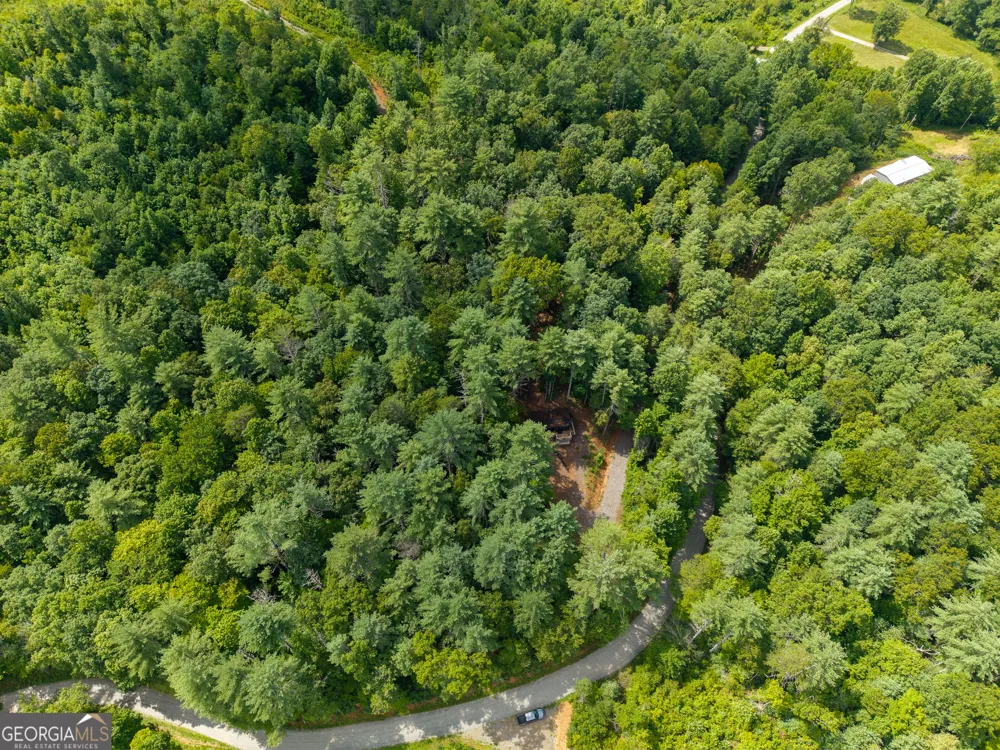 0 Higdon Creek RD Blue Ridge, GA 30513