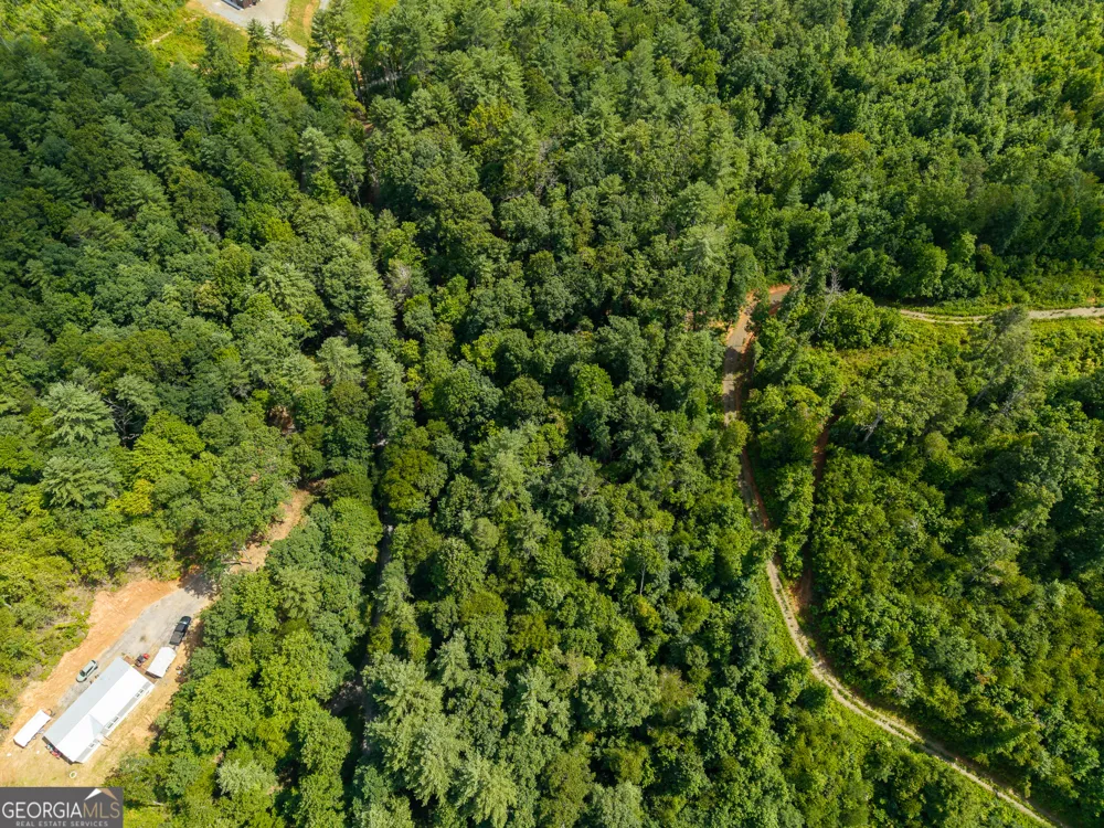 0 Higdon Creek RD Blue Ridge, GA 30513