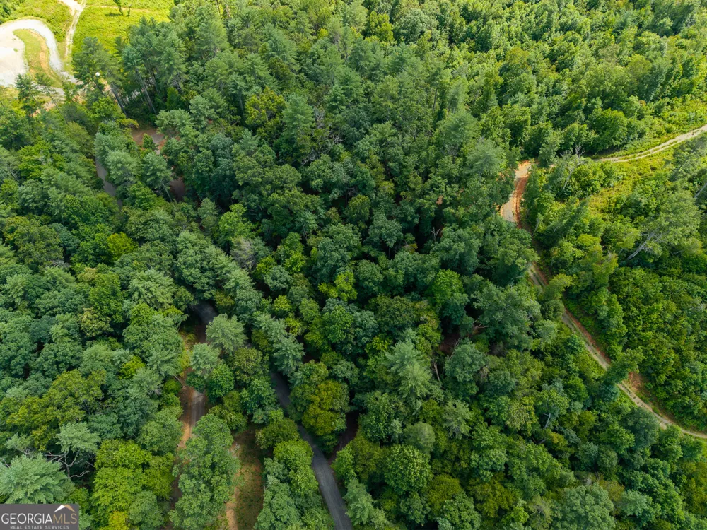 0 Higdon Creek RD Blue Ridge, GA 30513