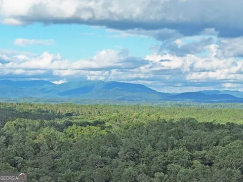 LOT 20 Mt Springer RD
