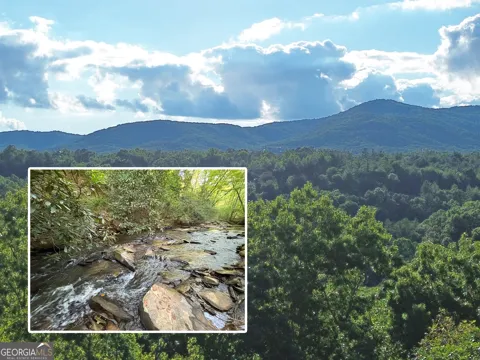 LOT 19 Mt. Springer RD
