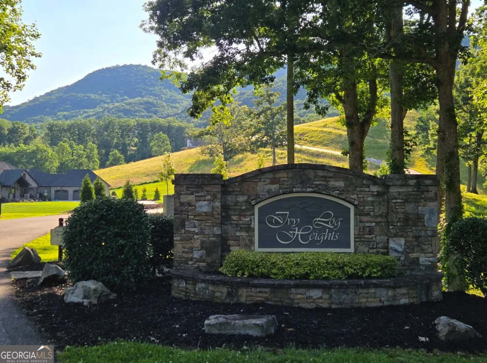 463 Ivy Log Heights RD Young Harris, GA 30582