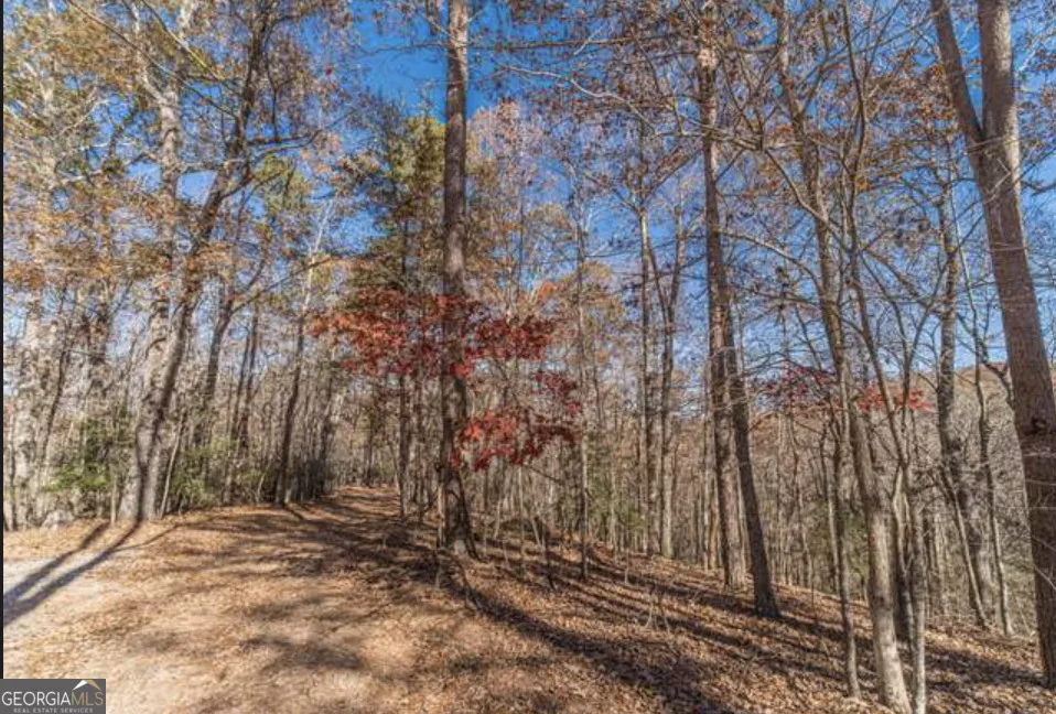 LOT 6 Arborwood DR Dahlonega, GA 30533