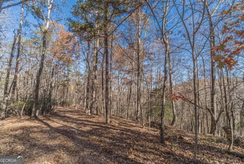 LOT 6 Arborwood DR Dahlonega, GA 30533