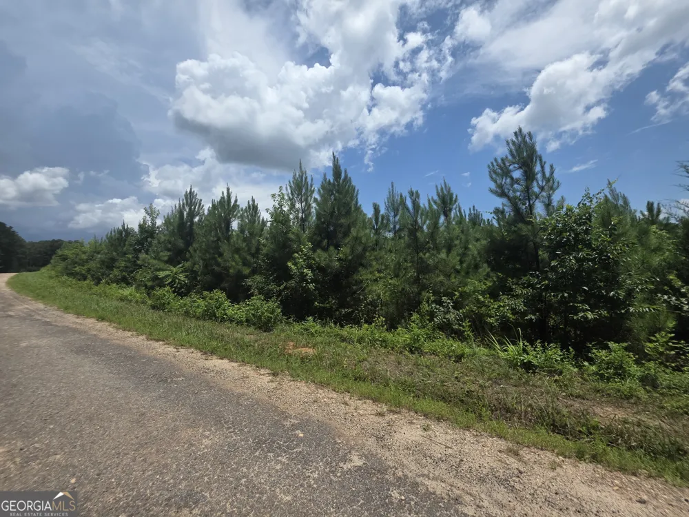 0 Wehunt RD Covington, GA 30016