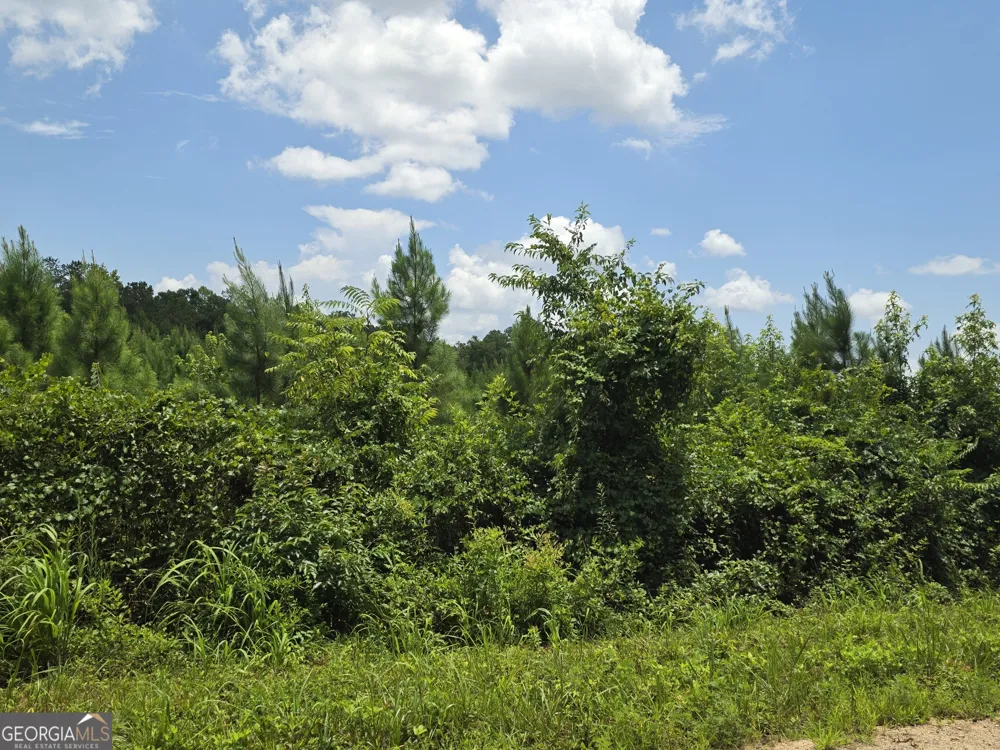 0 Wehunt RD Covington, GA 30016
