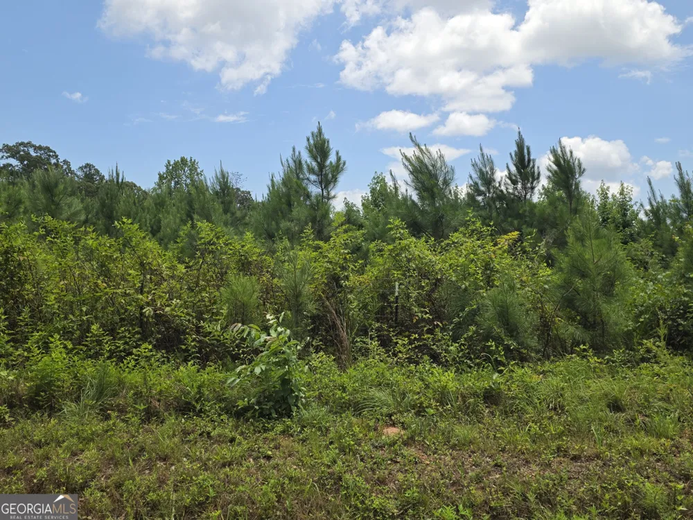 0 Wehunt RD Covington, GA 30016