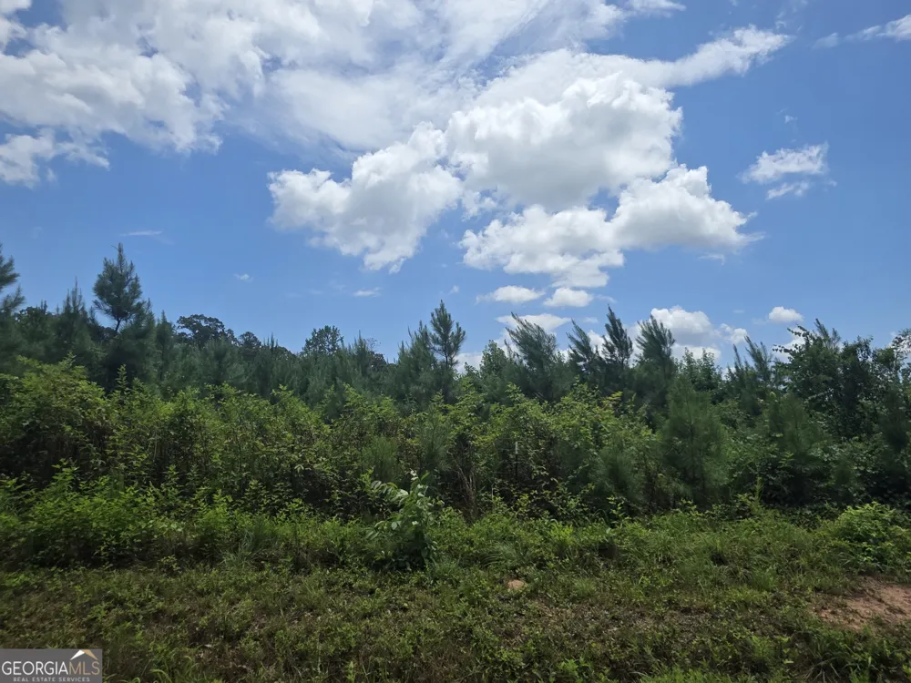 0 Wehunt RD Covington, GA 30016