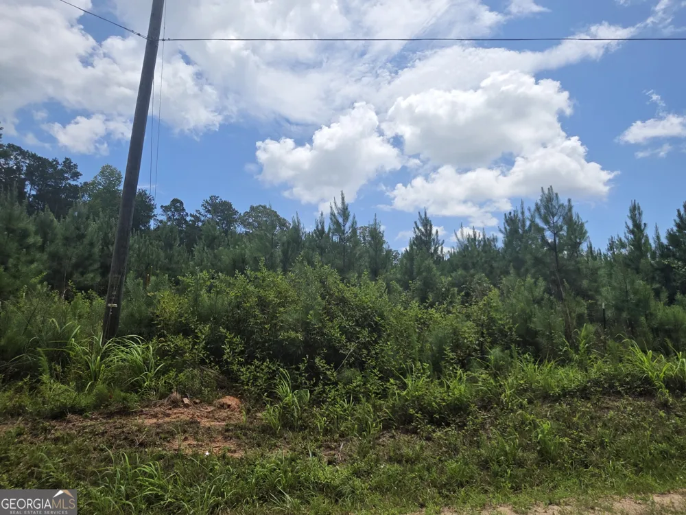 0 Wehunt RD Covington, GA 30016
