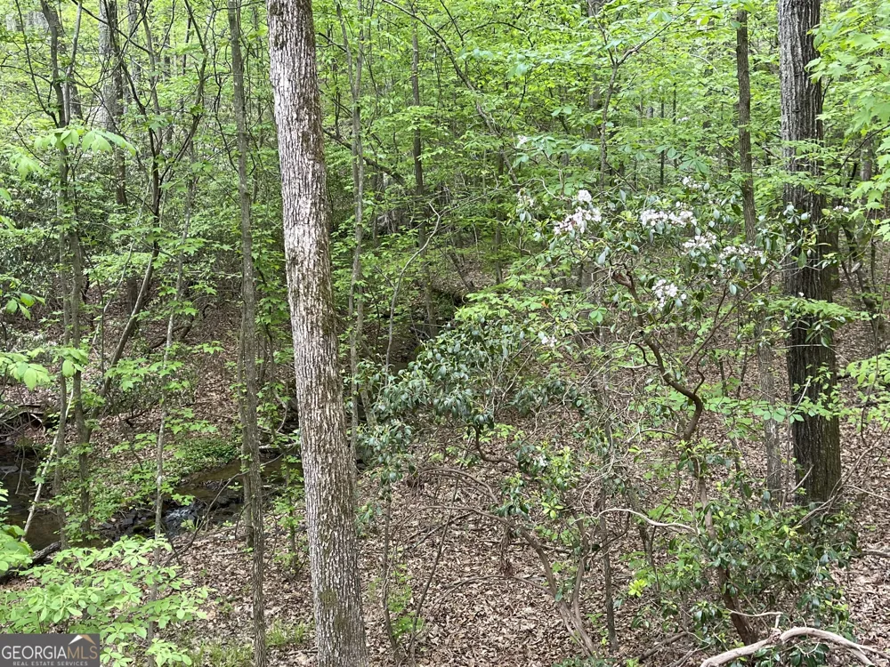 0 Everett Springs RD Armuchee, GA 30105