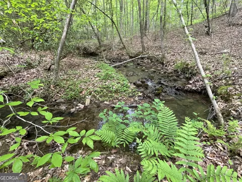 0 Everett Springs RD
