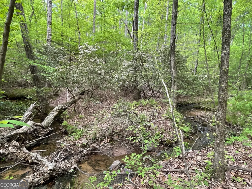 0 Everett Springs RD Armuchee, GA 30105