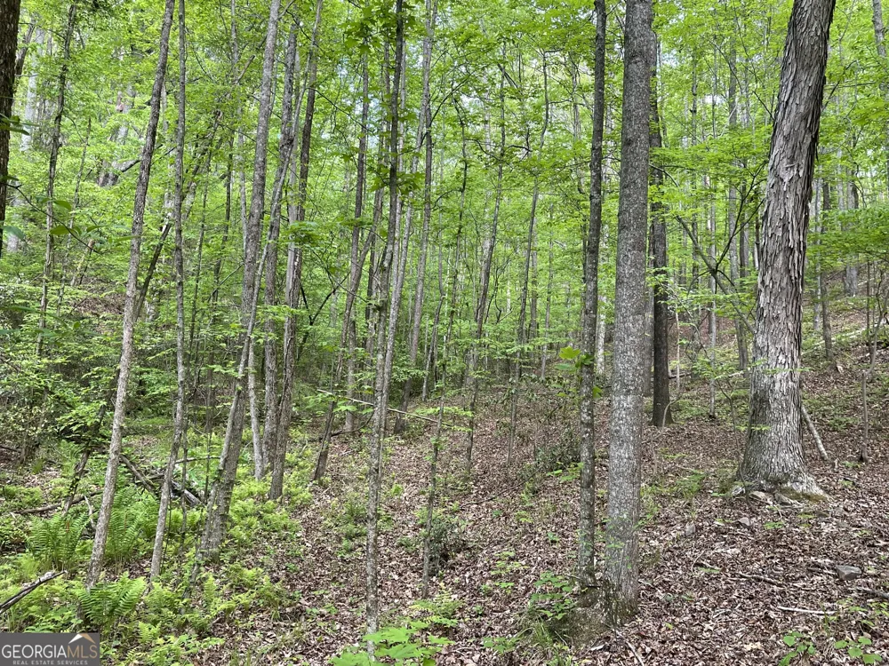 0 Everett Springs RD Armuchee, GA 30105