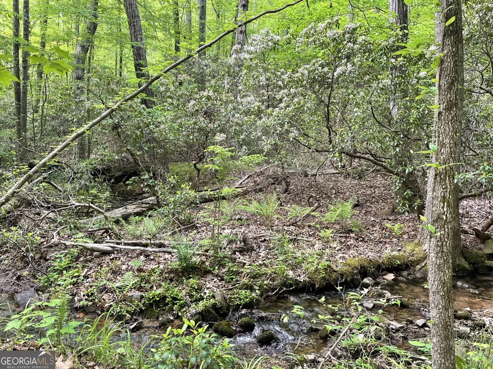 0 Everett Springs RD Armuchee, GA 30105